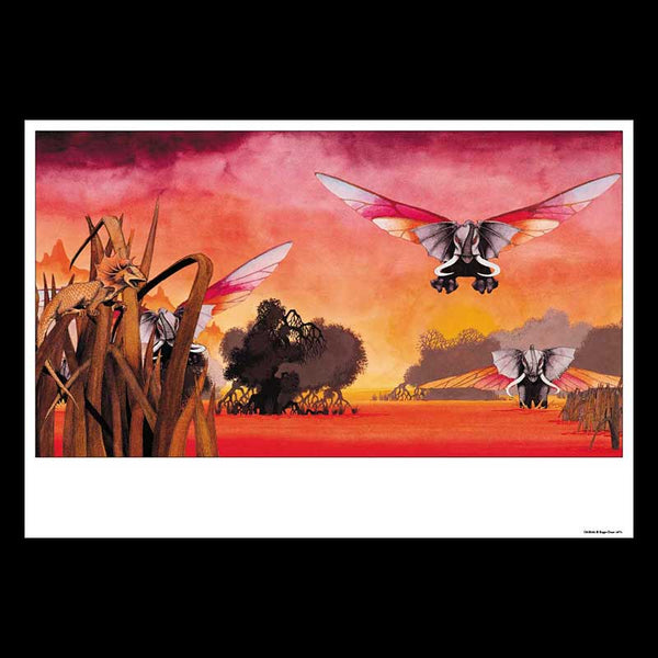 OSIBISA POSTER (59x86CMS)